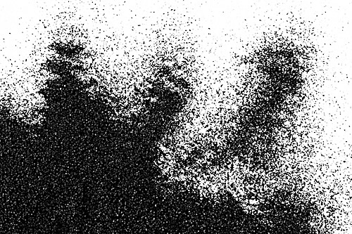 Micronized Coal